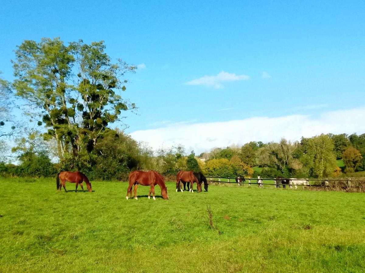 Relais Equestre Du Miloir - Chambres D'Hotes Saint-Desir Екстериор снимка