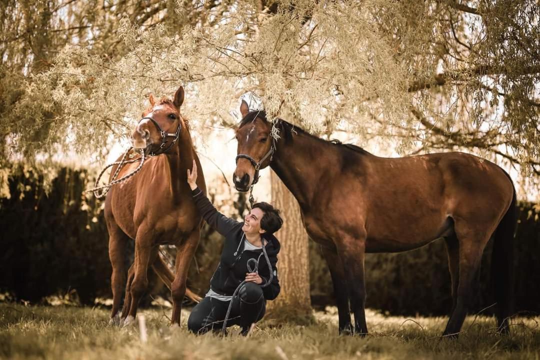 Relais Equestre Du Miloir - Chambres D'Hotes Saint-Desir Екстериор снимка
