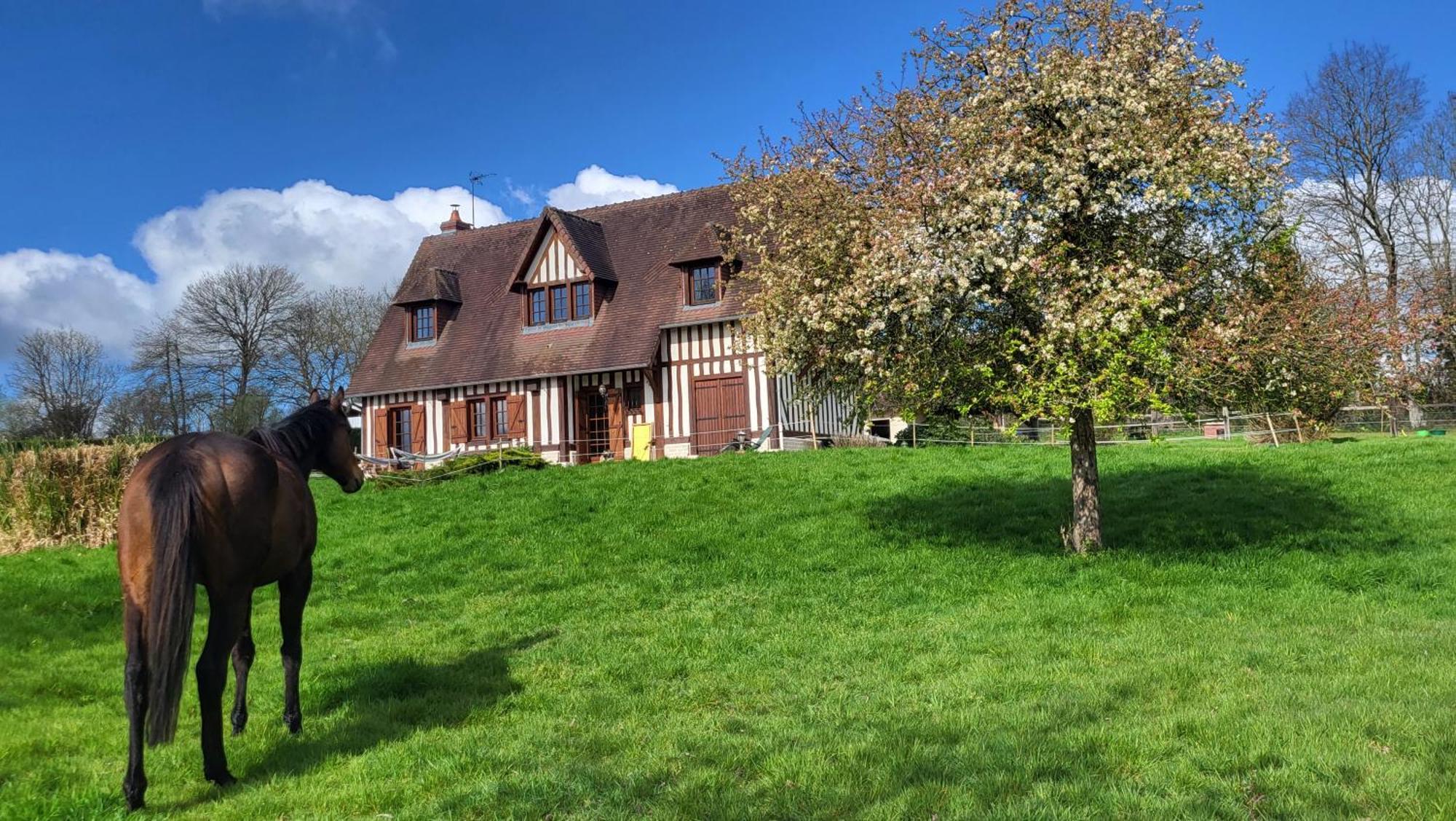 Relais Equestre Du Miloir - Chambres D'Hotes Saint-Desir Екстериор снимка